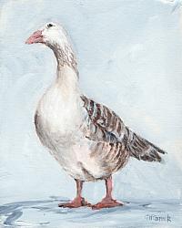 My French Goose - Available as prints and gift cards