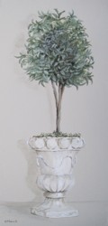 Original Painting on Canvas - Olive Tree Topiary - Postage is included Australia Wide
