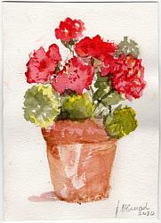 Hand Painted Card - Geraniums - Free Postage Australia wide only