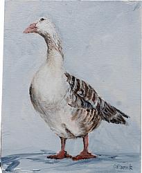 Original Painting on Canvas - The French Goose - 20 x 25cm series