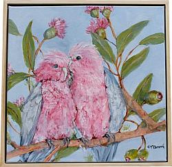 FRAMED - Galahs and Gumnuts - Postage included Australia wide