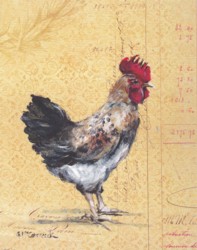 Rooster on French Postcard - Available as prints and gift cards