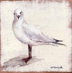 Ready to Hang Print - Seagull (29 x 29cm) POSTAGE included Australia wide