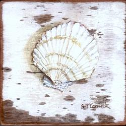 Ready to Hang Print - Shell (29 x 29cm) POSTAGE included Australia wide