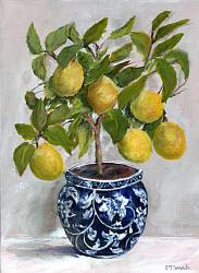 Ready to hang Print - Topiary Lemons in Blue & W (29 x 39cm)  FREE POSTAGE Australia wide